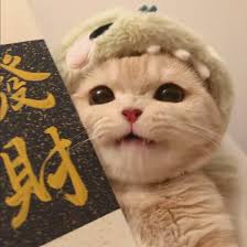 Ảnh đại diện của Minh Quân